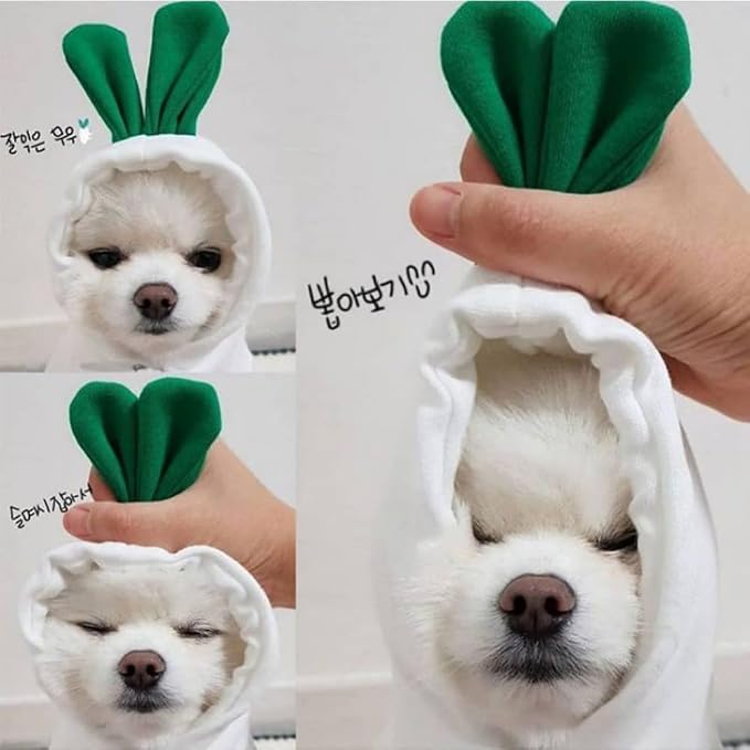 Pet Clothing Dog Transformation Shaped Hoodie (White Radish,S) | Autumn and Winter Warm Small Large Dog Method Dou Cat Clothes For French Bulldog Chihuahua Pug Boston Terrier Dachshund