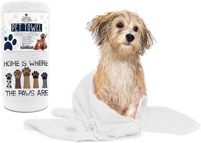 DAN RIVER Dog Towel - Pack of 1, 100% Cotton, 20x40, Ultra Soft, Super Absorbent & Quick Drying Towel for Dogs, Cats, and Other Pets, White Home.