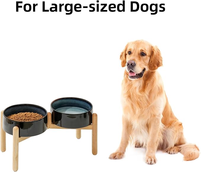Havniva Ceramic Dog Bowls Elevated, Raised Dog Food Bowl for Large Dogs | 8.3” Elevated Dog Bowls, Non-Slip Wood Stand, Dog Food and Water Bowl Set, Dog Feeding Dish, Large Capacity Pet Water Bowl