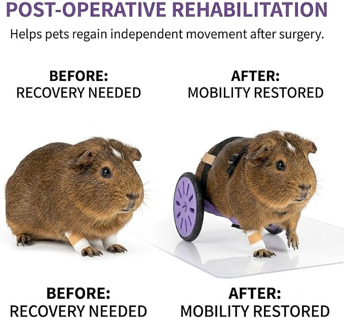 Adjustable Pet Wheelchair for Back Legs, Lightweight Rabbit Wheelchair for Hind Leg Support, Small Animal Mobility Cart for Bunny and Guinea Pig, Compatible with Mini Breeds (Rabbits, Guinea Pigs)