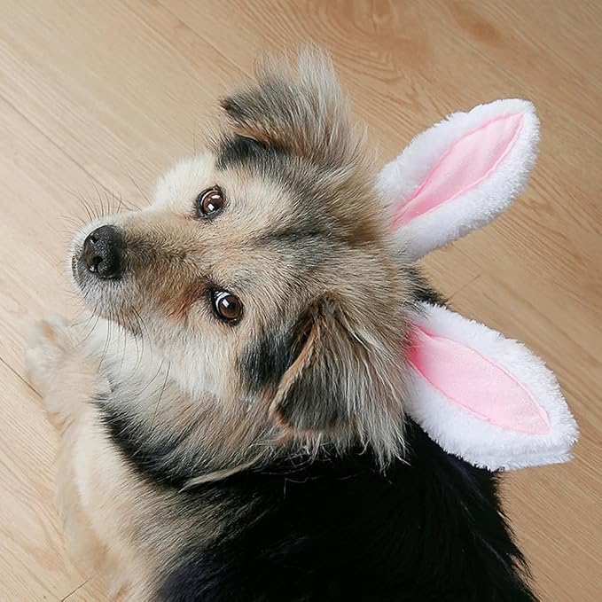 Dog Rabbit Bunny Ear Headband Headwear,Halloween Easter Cat Bunny Costume Outfits for Pet Hair Accessories (Large)