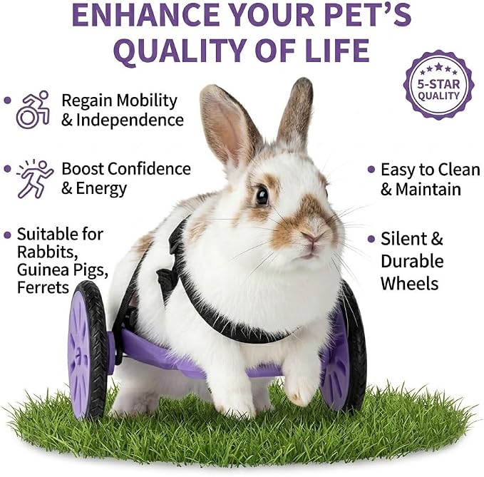 Adjustable Pet Wheelchair for Back Legs, Lightweight Rabbit Wheelchair for Hind Leg Support, Small Animal Mobility Cart for Bunny and Guinea Pig, Compatible with Mini Breeds (Rabbits, Guinea Pigs)