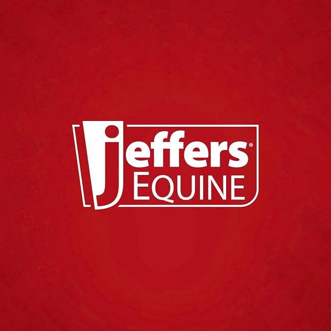 Jeffers Wall Saddle Rack with Saddle Pad Bars, Mounting Hardware Included - Heavy Duty Black Wall Mounted Steel Saddle Holder for English & Western Saddles, Blankets, Tack Storage for Barns & Stables