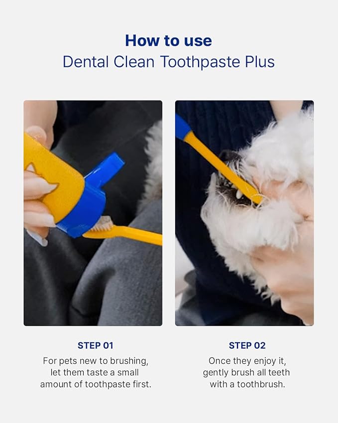 PETHROOM Pet Dental Clean Toothpaste Plus for Dogs & Cats – Pet Friendly Flavor, Enzymatic Toothpaste for Fresh Breath & Plaque Control, Gentle Daily Dental Care, Net Wt 2.1 oz