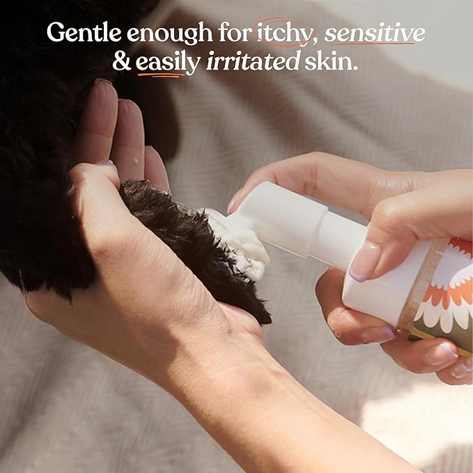 Dandylion Clean Paws Refill | No-Rinse Dog Paw Cleaner & Dog Paw Washer | Fragrance-Free, pH Balanced Foaming Cleanser with Silicone Bristle Brush | Designed for All Breeds & Sizes | 10 fl oz