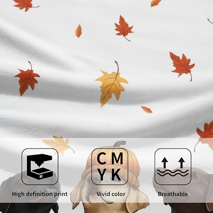 Giwawa Fall Dog Towel Set of 2, Autumn Pumpkins Orange Maple Leaves Funny Puppy Decorative Hand Towels, Thanksgiving Harvest Soft Face Towel Washcloth for Bathroom Guest Gym Spa Hotel Home
