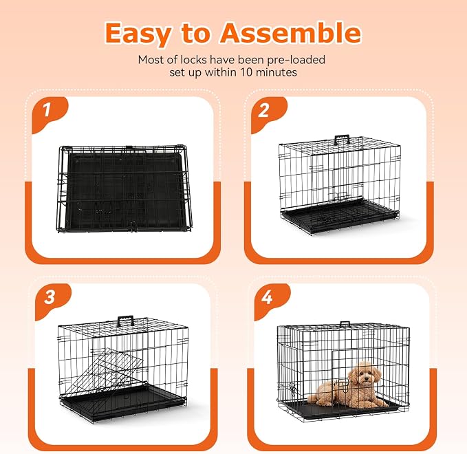 FDW | 24" Foldable Metal Dog Crate | Black | Cage for Small Dogs | Heavy Duty, Portable Wire Kennel with Double Door, Divider & Leak-Proof Tray | For Training, Home, Travel Indoor/Outdoor Use