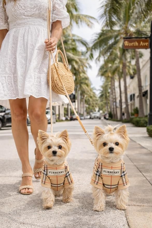 Luxury Designer Dog T Shirt – Trendy Puppy Clothes for Small Dogs, Fashion Pet Tee for French Bulldogs & Chihuahuas, Everything Chic Dog Apparel (FurberryTee, Small)