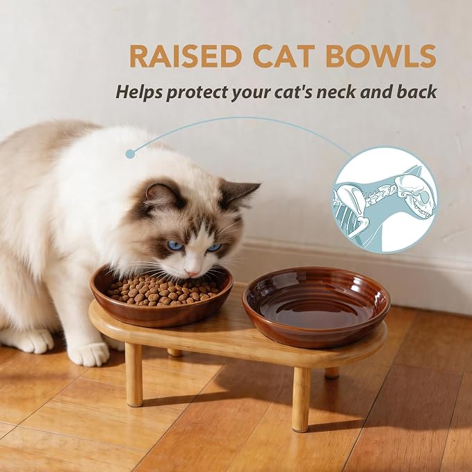 Havniva Elevated Cat Bowls, Ceramic Cat Bowl with Bamboo Stand Wide Opening | 5.7” Raised Cat Food Bowls, Whisker Friendly Cat Dish, Anti-Slip Cat Water Bowls, Shallow Cat Bowls, Cat Food & Water Bowl