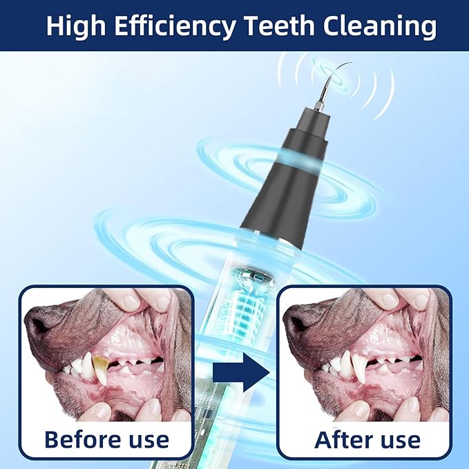 Plaque Remover for Teeth, Pet Ultrasonic Cleaner, Dog Plaque and Tartar Remover with LED Light, Dog Teeth Cleaning Dental Care Kit for Tartar and Stains, Suitable for Dogs and Cats (Black)