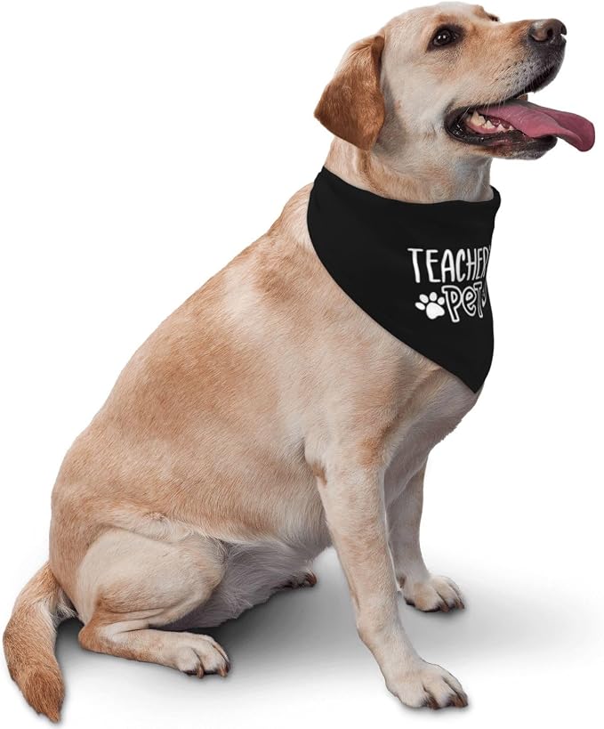 Teacher's Pet Dog Bandana,Funny Bandana Gift,Photo Prop Accessories for Dog Lovers Owner Gift,Triangle Reversible Fall Scarf, Adjustable (Black)
