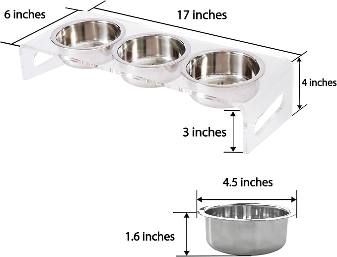 Tilted Raised Elevated Food and Water Bowls Stand for Cat or Small Dogs - Puppy's Clear Acrylic Stainless Steel 3 Dishes Holder for Boy or Girl Pet by WBhonghui (Clear-3bowls)