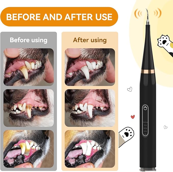 Opdent Dog Plaque and Tartar Remover - Dog Tooth Brushing Kit Electric Toothbrush for Dogs,5 Adjustable Mode& 3 Cleaning Head, Plaque Remover for Teeth Stains for Dogs and Cats (Deep Black)
