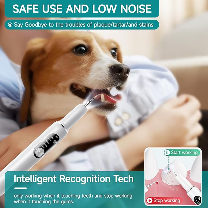 Jellytree Dog Plaque and Tartar Remover,Dogs Teeth Cleaning Kit with Led Light,5 Modes Dog Tooth Plaque Remover,Tooth Cleaner for Dogs and Cats,Low Noise Tartar Remover for Teeth,