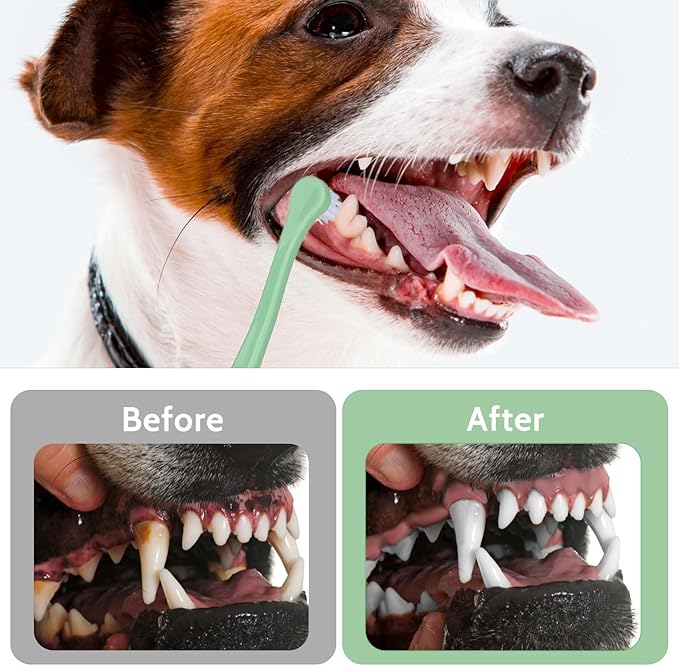 2 Pack Mini Head Soft Cat & Dog Toothbrush Deep Clean Kit, Portable Travel Friendly & Easy to Use for Puppy, Kitten, Small Dog & Cat