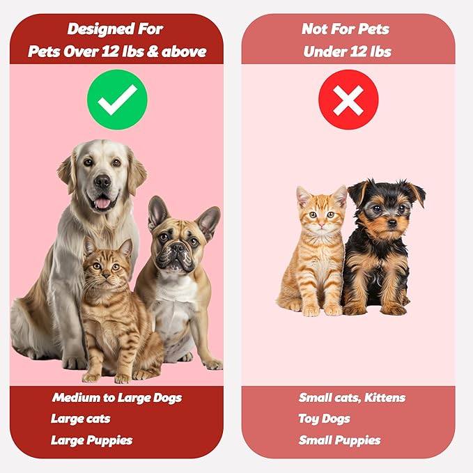 Pet Toothbrush for Dogs, Cats with Soft Bristles - Easy Teeth Cleaning & Dental Care, Non Slip Dual Head Dog Toothbrush for Medium & Large Pets, Toothpaste Not Included (Pack of 4(Red))