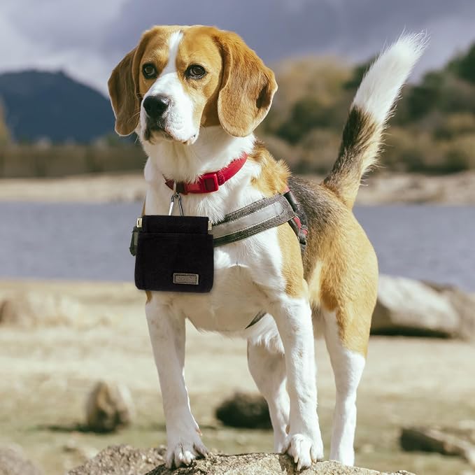 Dog Treat Pouch, Portable Auto Closing Dog Training Treat Bag with Carabiner, Hands Free Pocket Sized Snack Reward Pouch for Puppy Walking Travel Outdoor Use, Black