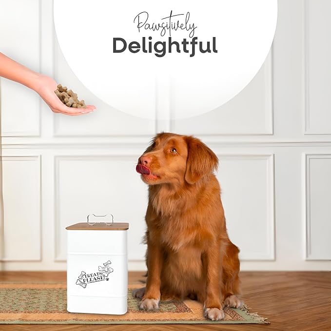 Treat Container w/Airtight Bamboo Lid 2 Pack - Farmhouse Large Treats Jar - Dog Treat Jars for Kitchen Counter - Dog Treat Jar - Metal Canister for Cookies & Biscuits - Pet Treat Container