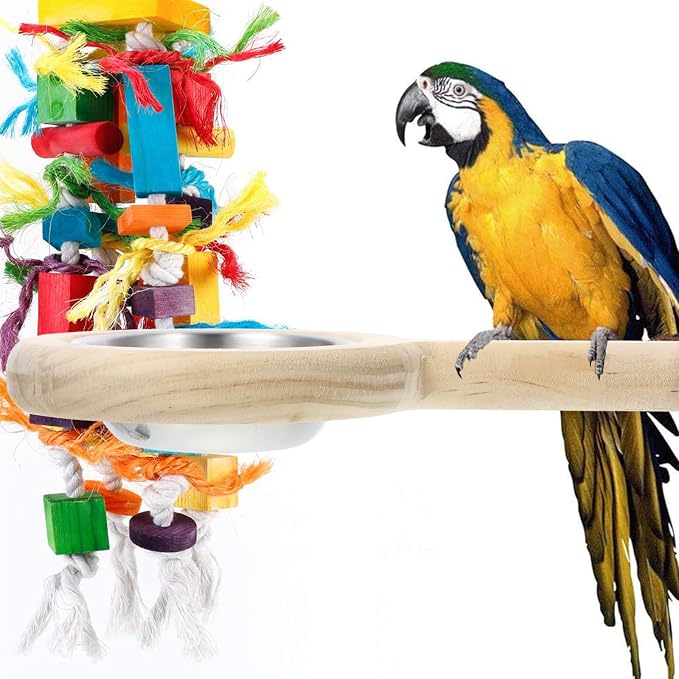 INOOMP Stainless Steel Bird Bowl with Feeding Cup and Perch Stand, Parrot Food Organizer and Bird Feeding Container for Cage Use