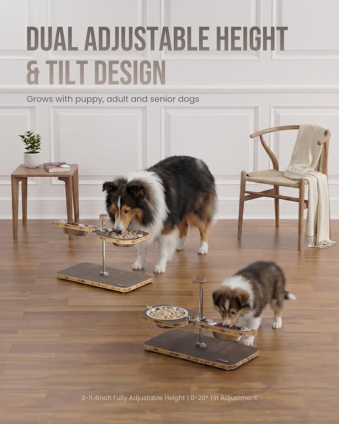 Puppyspout Elevated Dog Bowls, Adjustable Height & Tilt Bowl Stand | 2x16oz 304 food-grade bowls, independent tilt, FSC-Certified Wood non-slip wood base for cats, puppies & small to medium dogs