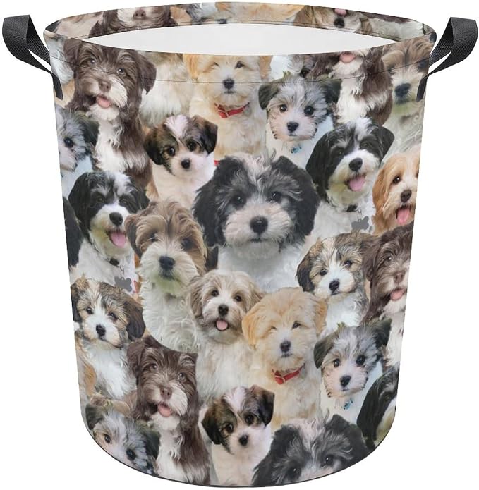 Cute Havanese Dog Print Laundry Basket Foldable With Handles, Funny Havanese Dog Tote Bag, Oxford Cloth Havanese Dog Laundry Hamper Clothes Storage Bucket For Bathroom Laundry Bedroom