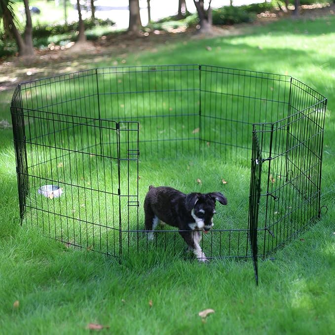 Peekaboo Dog Playpen 24 Inch, 8 Panel Foldable Rustproof Pet Fence, Black | Sturdy Metal Pet Fence,Quick Folding Setup,Indoor and Outdoor Use,Climate Pledge Friendly Choice