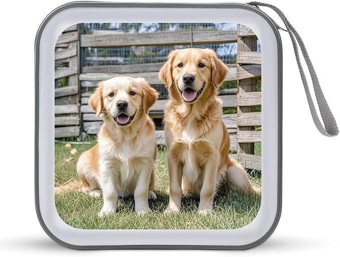 Golden Retriever Dogs Puppies Pets DVD Case, 40 Capacity CD Case Holder with Zippers, Portable CD Holder Hard Plastic Disc Cases Personalized DVD Wallet Organizer for Car Home Travel