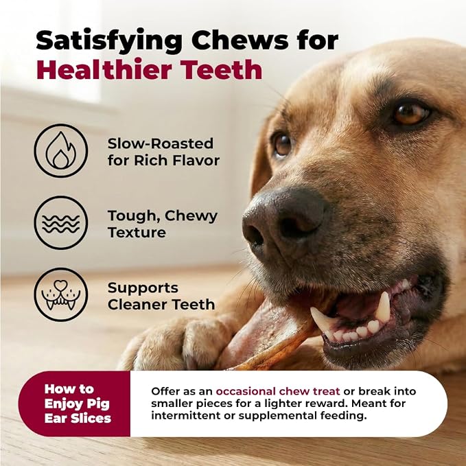 Best Pet Supplies GigaBite Premium Slivers Pig Ears for Dogs - 1.8 lbs | Single Ingredient, All Natural Pig Ears, Supports Dental Health, Perfect for Training, Slow Roasted Chews