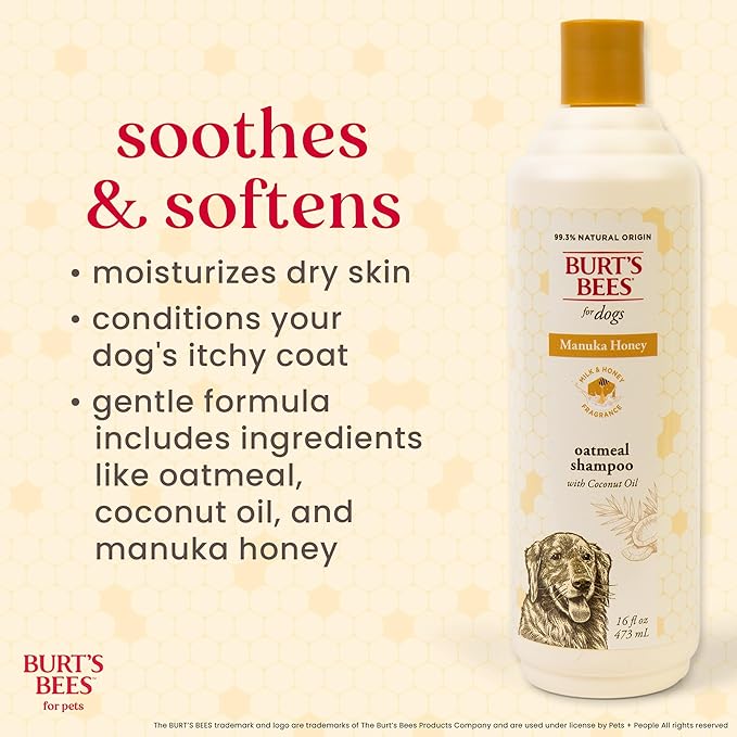 Burt's Bees for Pets Manuka Honey Oatmeal Shampoo for Dogs, Colloidal Oatmeal & Coconut Oil, 95%+ Natural Origin, No Sulfates, Parabens or Phthalates, Milk & Honey Scent, 16 Fl Oz