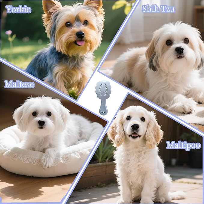 Cloud-Shaped Soft Bristle Small Dog Brush - Hollow Back Design for Easy Grooming - Ideal for Yorkie, Shih Tzu, Maltese Maltipoo Pomeranian- Puppy Essentials , Pet Hair Removal Essentials (Blue)