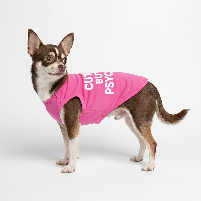 Fitwarm Cute But Psycho Dog Shirt, Summer Clothes for Small Dogs Girl, Funny Pet Outfit, Pink, White, Small