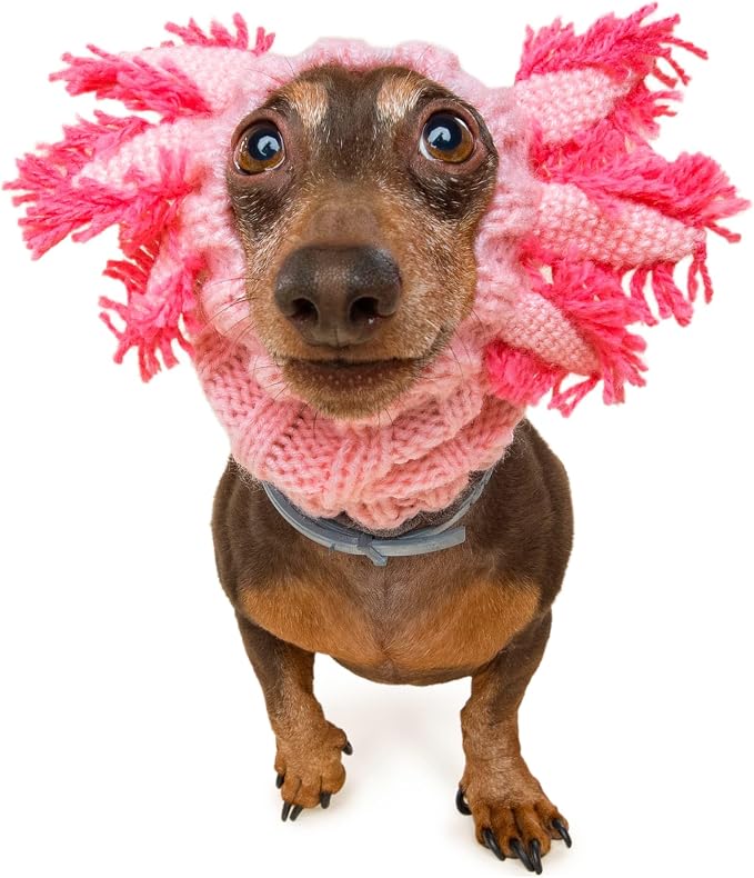Zoo Snoods Axolotl Dog Costume - Warm Crochet Salamander Snood Wrap for Pets, Neck Ear Cover Protection, Halloween Winter (Small)