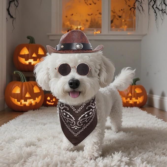 Cowboy Costume Set for Small Dog Cat Pet Mini Cowboy Hat Sunglasses with Bandana for Halloween Holiday Party Cosplay