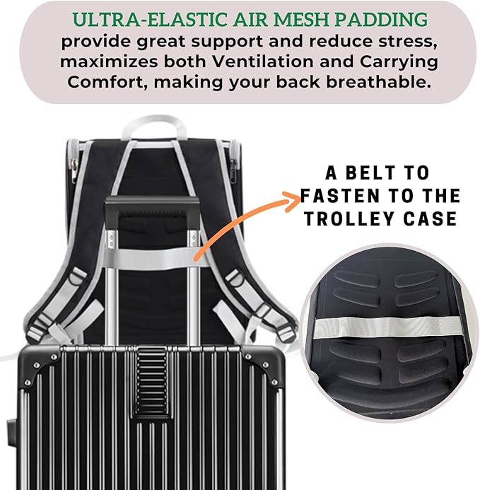 Cat Backpack Carrier, Ideal for Small Animals & Puppies, Airline Approved,Safe for Travel, Hiking, Vet Transport & Outdoor Use Fully Ventilated Design for Ultimate Comfort On-the-Go