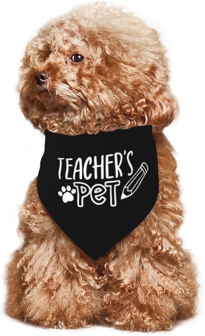 Teacher's Pet Dog Bandana,Funny Bandana Gift,Photo Prop Accessories for Dog Lovers Owner Gift,Triangle Reversible Fall Scarf, Adjustable (Black)
