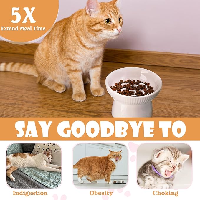2 Pcs Cat Slow Feeder Bowl, Raised Ceramic Cat Slow Feeder Bowl, Elevated Cats Dog Food Bowls High Edge, Anti Vomiting for Pets Kitten Puppies Dry Wet Food and Water, Dishwasher Safe