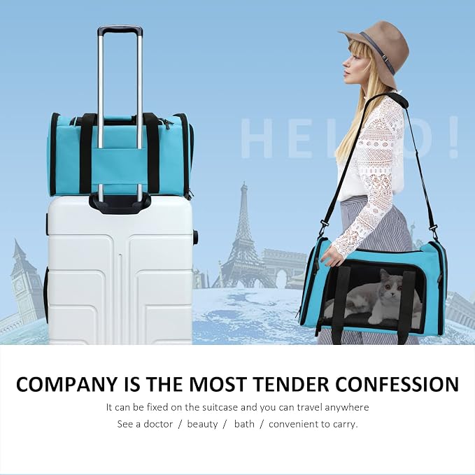 Henkelion Pet Carrier for Small Medium Cats Puppies up to 15 Lbs, Airline Approved Small Dog Travel Puppy Carrier Soft Sided, Collapsible - Blue (Pack of 2)