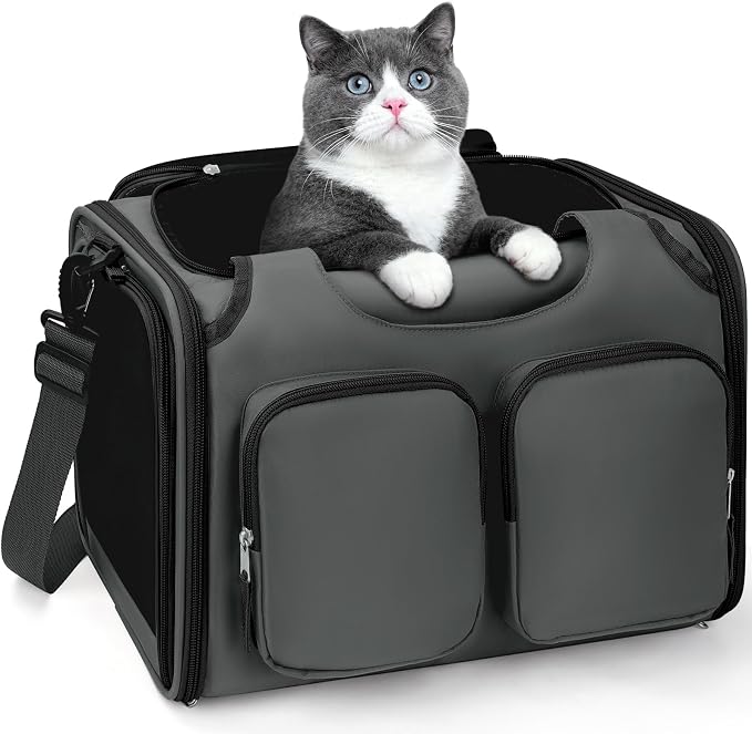 Dog Cat Carrier Airline Approved Collapsible Soft-Sided Pet Travel Bag | Pet Carrier Up to 12 lbs, Locking Zippers, Breathable Mesh, 4 Large Pockets, Removable Fleece Pad, Dark Grey