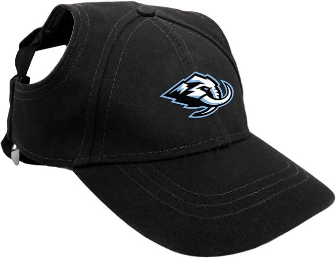 Littlearth Unisex NHL Pet Baseball Hat