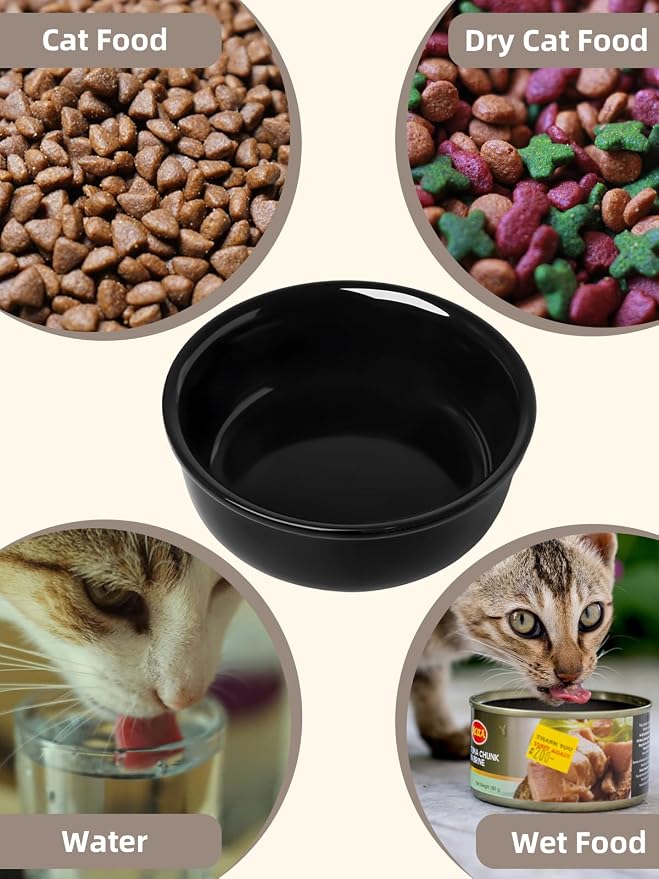 GDCZ Elevated 15 Oz Ceramic Double Cat Bowls with 11.6x2.5 Inch Stand (Black)