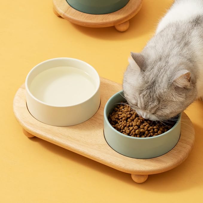 Havniva Raised Cat Bowl, 6.1” Elevated Ceramic Cat Food and Water Bowl Set | Cat Bowls Elevated, Whisker Friendly Cat Bowl, Non-Slip Wood Stand, Food-Grade Ceramic, Wide Opening, Dishwasher Safe