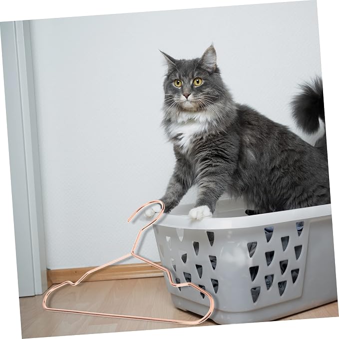 3pcs Pet Clothing Hangers Apparel Organizers for Neat Storage for Hanging Pet Clothes Thick Finish