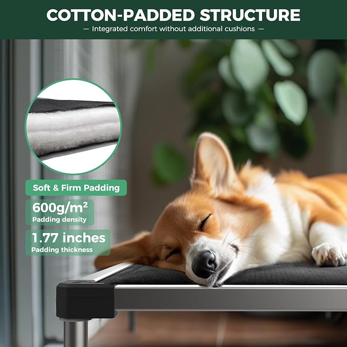 FXW TitanNest Padded Chew-Proof Elevated Dog Bed for Extra-Small Dogs | Easy to Clean, Pre-assembly Raised Cot, Indoor/Outdoor/Camping, 29 x 18 x 4.5in