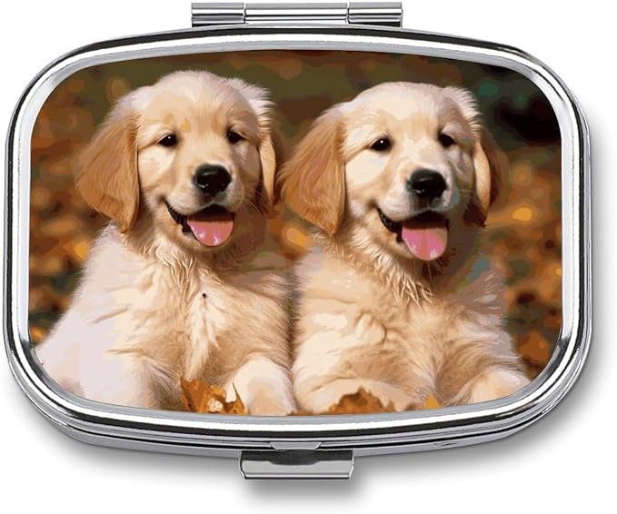 Travel Golden Retriever Dogs Puppies Pets Pill Case 2 Compartments Small Pill Organizer for Fish Oil Vitamin Supplement Portable Daily Pill Box for Pocket Purse Medicine Storage