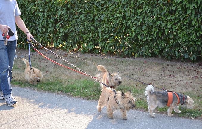 3-Way Dog Leash Handle, 3 Leads Holder for Walking Multiple Dogs. Undo Leash Tangles in Seconds While Walking.