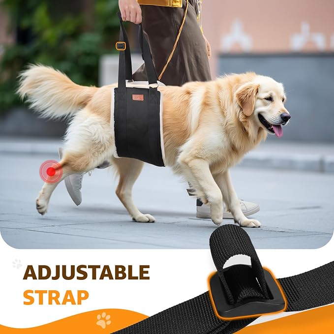 Adjustable Dog Lift Harness, Dog Sling for Large Dogs Lift Support and Rehab Harness for Weak Rear Legs, Soft Hind Leg Support Helps Senior, Injured,Disabled and After ACL Surgery Dogs(Black,X-Large) | Sturdy Support, Helps Seniors, Injured, Disabled a...