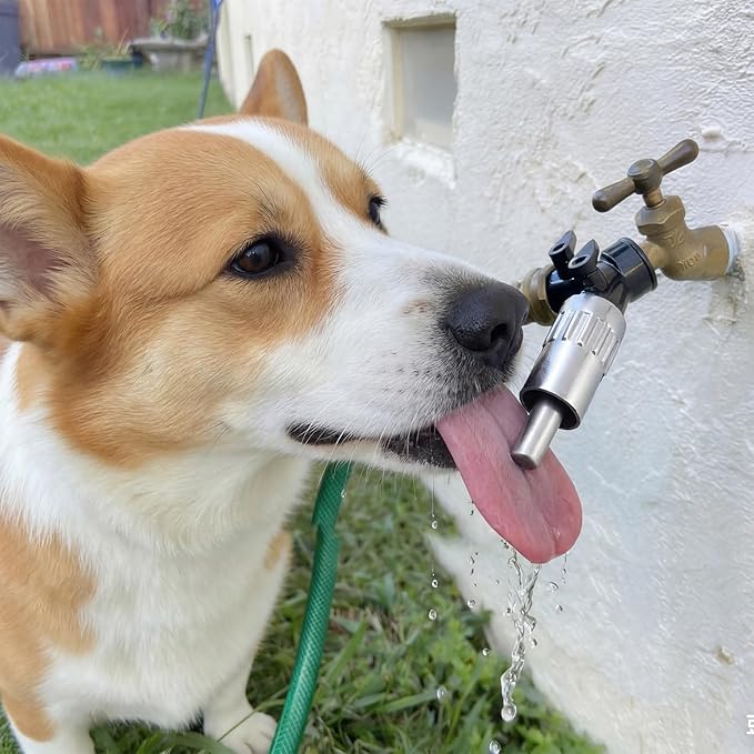 Qinyoung 4 Pack Automatic Dog Faucet Waterers, 3/4" Lick-Activated Dog Water Fountain Hose Spigot Attachment with Anti-Leak Tape for Dogs, Livestock