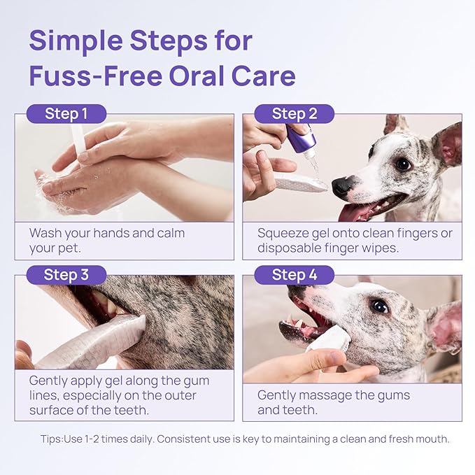 HICC PET Dog Dental Gel, Vet-Trusted Teeth Cleaning Gel for Dogs & Cats, Pet Breath Freshener, Maintains Gum Health, Natural Enzymatic Oral Repair Gel Kit, No Brushing Required, Non-Toxic. 2 fl oz