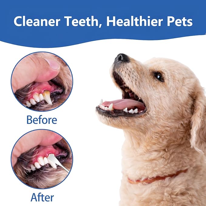 4 Pack Stainless Steel Pet Dental Tools for Dogs and Cats, Professional Tartar Remover Scraper Kit for Teeth Cleaning, Plaque and Calculus Control, Oral Care Hygiene for Home or Vet Use