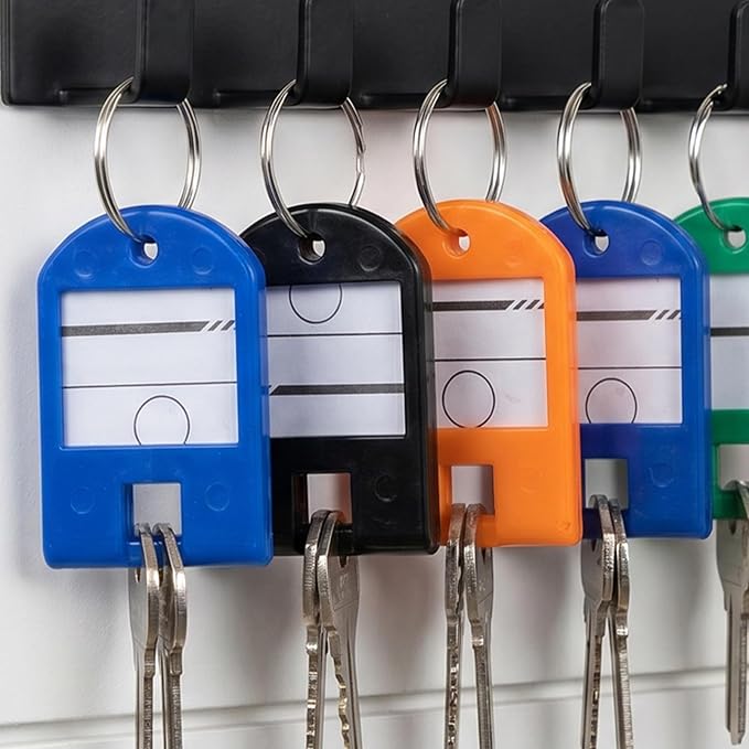 POPETPOP Plastic Key Tags Sturdy Plastic Organizers 100pcs with Split Ring and Personalizable Label, Colored Key Labels and Random Color for USB Drive and Small Luggage for Offices